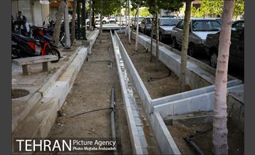 گلکاری در خیابان ولیعصر 1