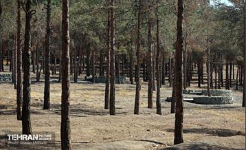 بازدید اصحاب رسانه از روند انجام عملیات احیای چیتگر 11