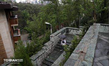 بارش باران بهاری در تهران - 2 9