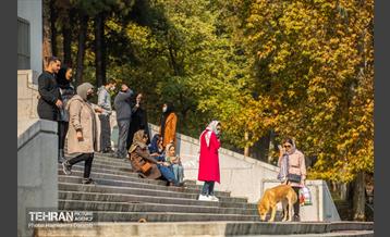 آخرین روزهای پاییزی  4