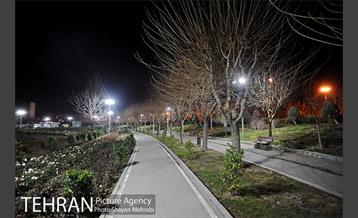 شهردار شب غلامحسین محمدی 55