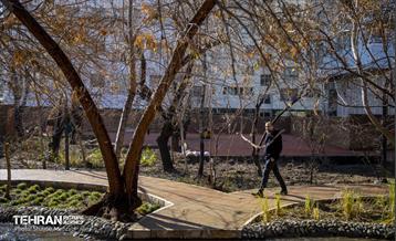 باغ گلاریس 11