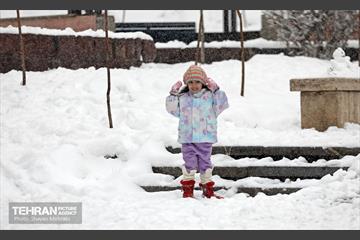 بارش برف در تهران 10