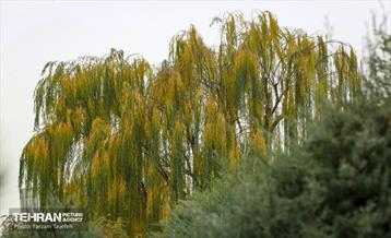 گذرگاه های پاییزی پایتخت - منطقه 5