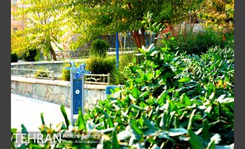 شهرک مسکونی شهید باقری 19