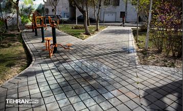 زخم بی فرهنگی بر دیوارهای شهر 4