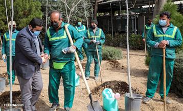 روز درختکاری با حضور مادران شهدا 5