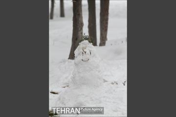 بارش برف در تهران 2