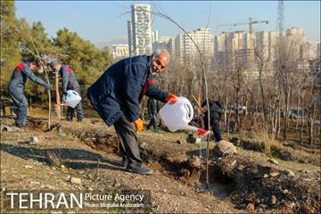 کاشت 2200 اصله نهال در بوستان جنگلی چیتگر 16