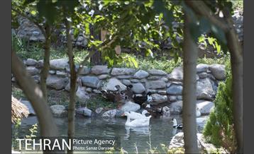 تور بازدید خبرنگاران از فاز دوم باغ پرندگان‎ 20