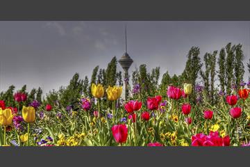 امروز طهران 3
