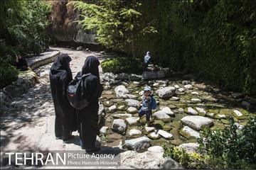 بوستان نهج البلاغه 7