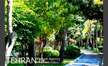 شهرک صدرا 28