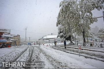 بارش برف در تجریش 17