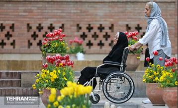 تور عکاسی از باغ ایرانی 18