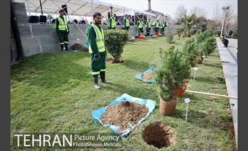 مراسم درختکاری به مناسبت روز مادر 2