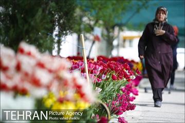 پیاده راه لاله برای مادران 12