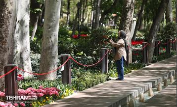 باغ ایرانی میزبان لاله‌ها 38