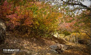 سمفونی رنگ های پاییزی - دربند 36