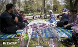 روز طبیعت در بوستان ملت 12