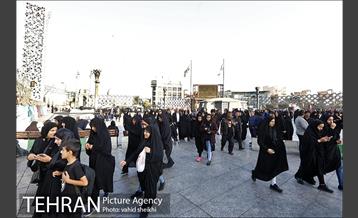 پیاده روی جامندگان اربعین حسینی (ع) در تهران 1