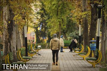 بوستان اندیشه(شهید منفرد نیاکی) 4