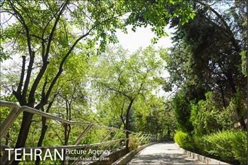 بوستان بهشت مادران 4