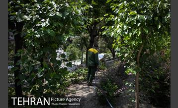 تهران؛ روزمرگی 3