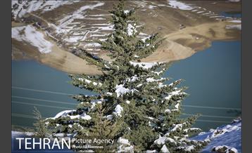 طبیعت برفی تلو 20