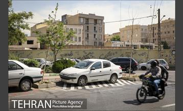 پارک خودرو‌ بین درختان چنار 8