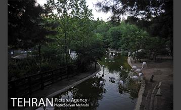 باغ پرندگان تهران 65