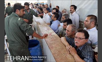 بازدید رییس شورای اسلامی شهر تهران و مدیر عامل سازمان میادین شهرداری تهران از مراکز عرضه بهداشتی دام 8