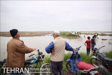 جلوگیری از ورود اب گرگان رود به شهر اق قلا 21