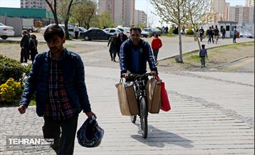 روز طبیعت در دریاچه چیتگر 4