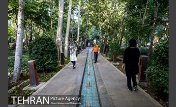 شهرنگار؛ باغ ایرانی 22