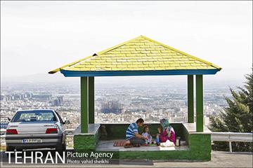 بوستان جنگلی کوهسار 14
