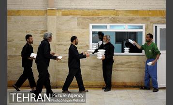 گرمخانه ها، دور از سرما 35