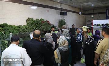 تره‌بار یلدایی 31