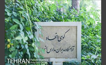 بهشتیه تهران 19