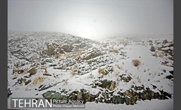 برف پاییزی در تهران 20