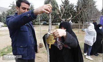 غرس ١٠٠ اصله نهال در دریاچه شهدای خلیج فارس با حضور خانواده شهدای هم محله‌ای 11