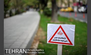 نوروزگاه هنر در پیاده‌راه بلوار کشاورز 1