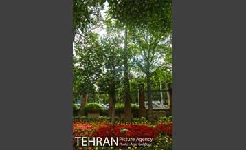 موزه هفت چنار 17