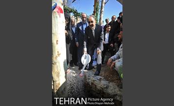 احیای درختان خیابان  ولیعصر( عج) با حضور شهردار تهران