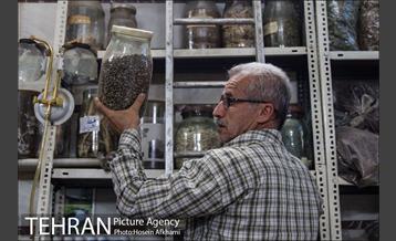 مغازه عطاری و داروهای گیاهی 3