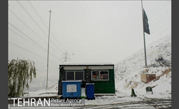 بارش نخستین برف پاییزی تهران 29