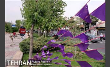 آیین رونمایی از تابلوی میدان قمر بنی هاشم (ع) 5