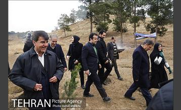 آغاز عملیات اجرایی نهضت درختکاری پردیس گردشگری 19