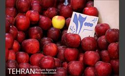 یلدایِ نجومی قیمت‌ها 9
