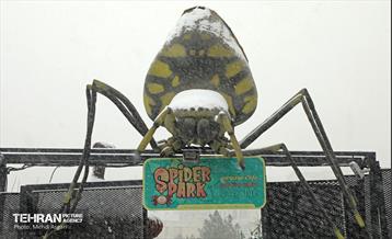 بارش برف زمستانی در منطقه ۲ 19